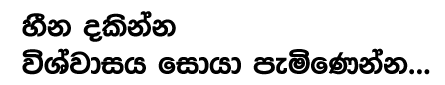 Founder Portrait